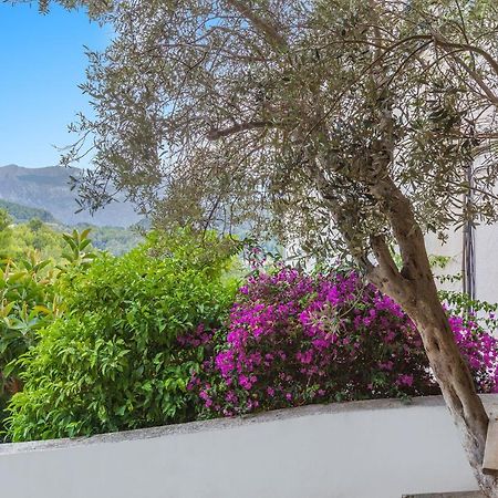Bellavista 22 Leilighet Puerto de Sóller Eksteriør bilde